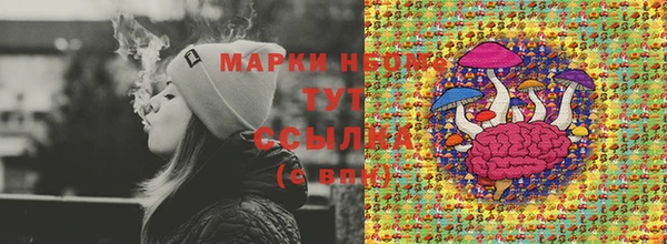 спиды Заполярный