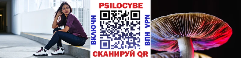 OMG зеркало  цены наркотик  Мураши  Галлюциногенные грибы MAGIC MUSHROOMS 